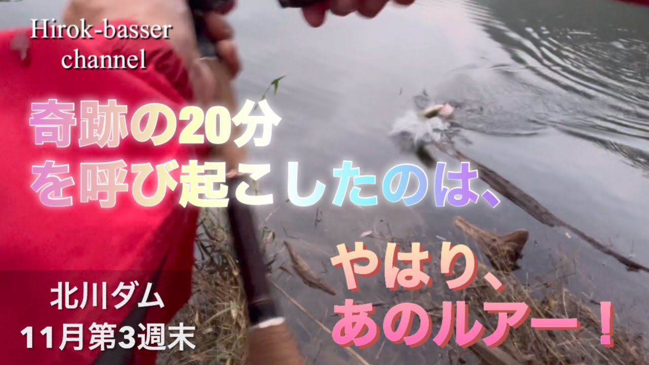 奇跡の20分を呼び起こしたのは、やはりあのルアー 北川ダムにてバス釣り 11月第3週末