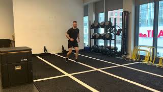 Drop Split Squat