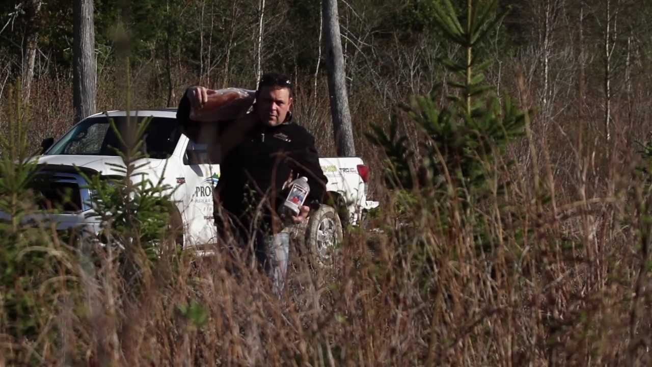 Capsule Pronature Rimouski - Salines Orignal
