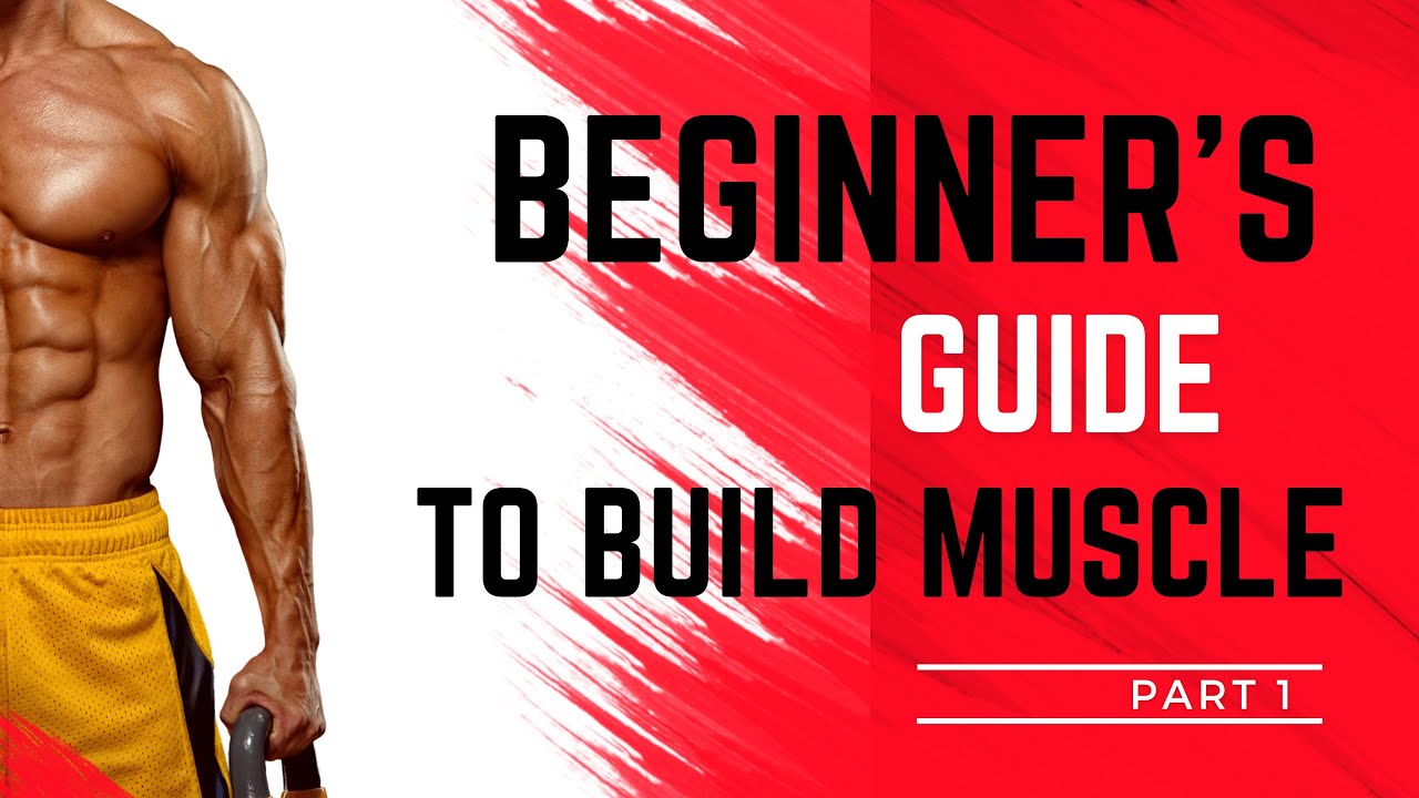 Beginner's Guide to build Muscle #train #training #gym #fitness - YouTube