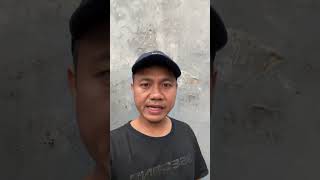 Itu Kan Daun #videoshorts #Shorts