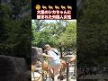 😅シカちゃん集まりすぎィ~!🦌🦌🦌🦌🦌奈良公園で鹿に囲まれる外国人観光客の女性 #鹿 #外国人の反応 #外国人観光客 #奈良 #shorts