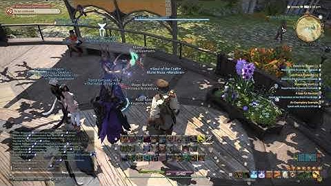 FFXIV Friend Playing Chrono Trigger Frog