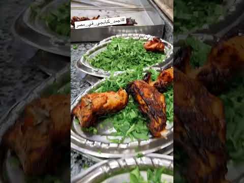 أجمد كبابجي في مصر شلقامي واحد بس