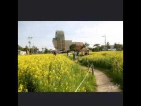 [TJ노래방라운지] 고향역 - 나훈아