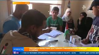 В Сирии боевики сдали около 500 единиц оружия и полтонны боеприпасов