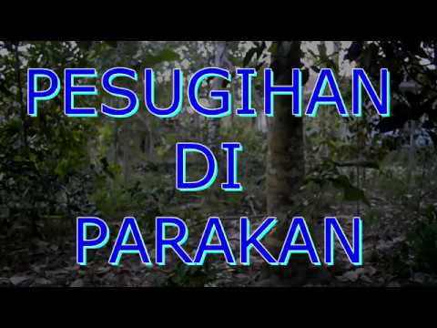 PESUGIHAN DI PARAKAN