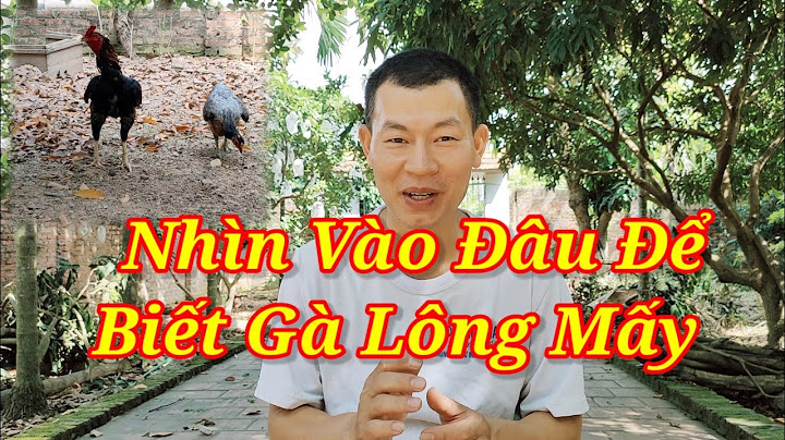 Gà đá có lông màu đỏ là gà gì