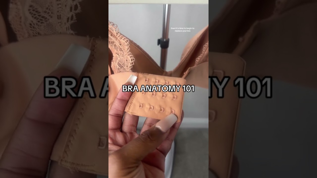 Bra anatomy 101 