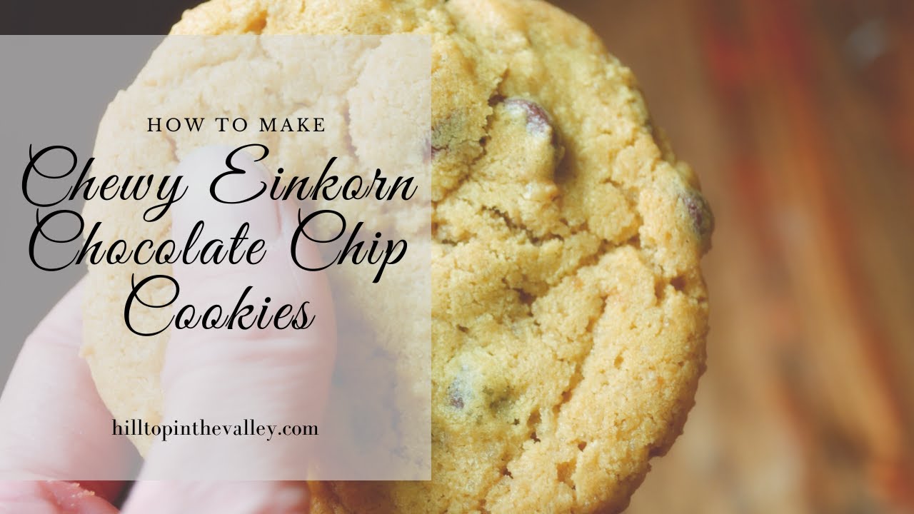 Einkorn Flour Chocolate Chip Cookies (How To) YouTube