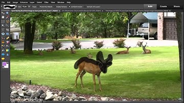 Photoshop Elements 10 - Use Spot Healing Brush Tool to change image composition