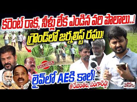 కరెంట్ రాక ,నీళ్లు లేక ఎండిన వరి పొలాలు..! Journalist Raghu With Farmers At Sanga reddy