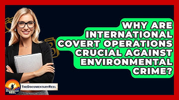 Why Are International Covert Operations Crucial Against Environmental Crime? - The Documentary Reel