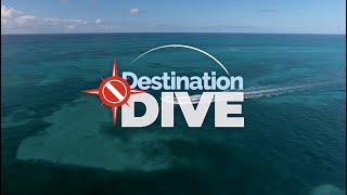 Destination Dive Official Trailer