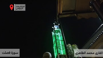 القارئ محمد الطاهري | سورة فصلت