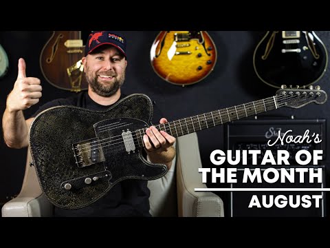 Guitar of the Month | James Trussart Steeltopcaster Snakeskin