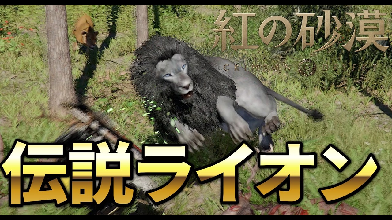 Crimson Desert] I will defeat the legendary black lion in place of