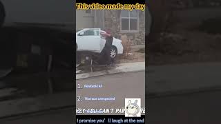 This Video Made My Day