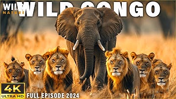 WILD CONGO | The Lair of King Kong and the Deadly Predators | Free Documentary 4K