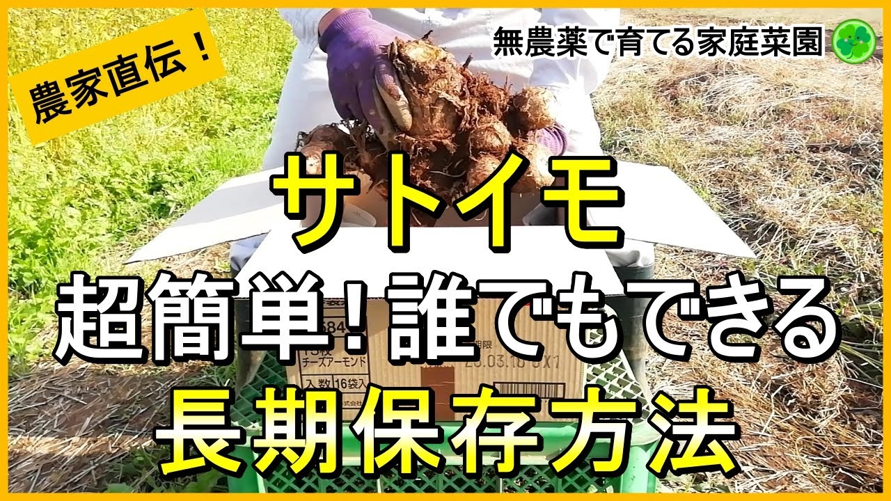 里芋 の 保存 方法