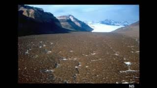 The History of the Martian South Polar Cap - Carver Bierson