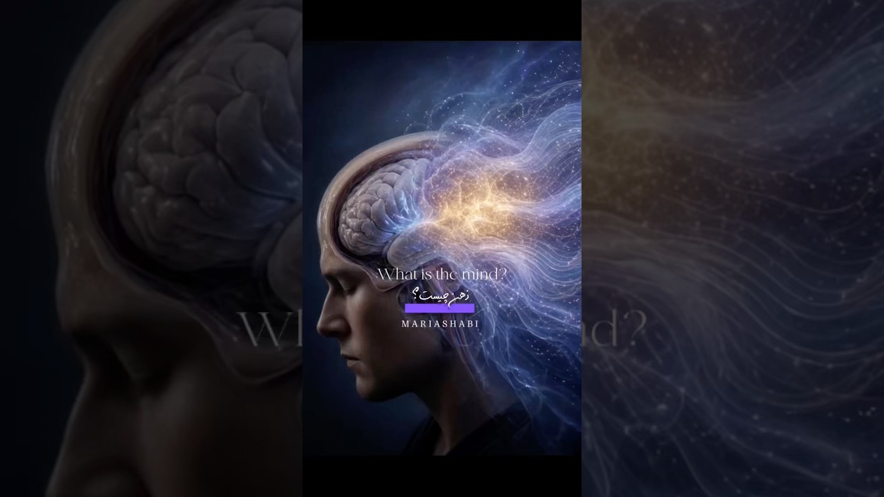 Video| MARIASHABI - music #javidnirvana  #mazdafar.momeni   #Mind #Meditation  #Energy #مزدافر.مومنی