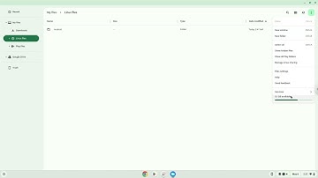 How to check the space available in the Linux container on a Chromebook