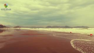 Doğa Sesleri - Sarıgerme Sonsuz Ve Huzur Veren Dalgalar