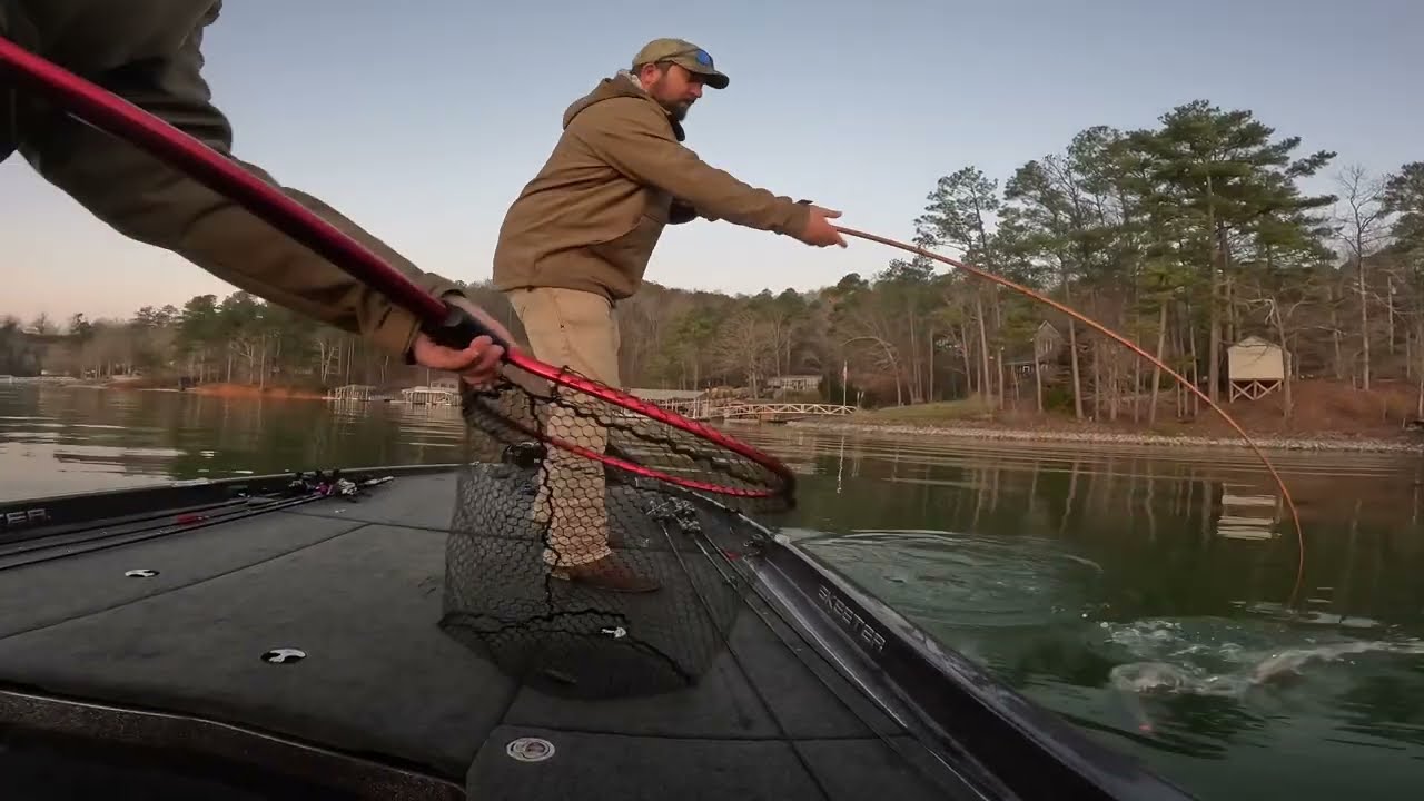 Smith Lake Bass Fishing #bassfishing #fishing #compilation