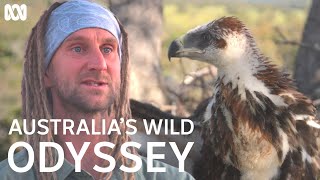 Bird watching at great heights | Australia's Wild Odyssey | ABC TV + iview