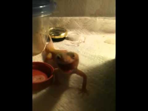 video phone beyonce mp3 Murphy tries a pinky