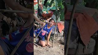 #shortvideo #goodvibes #youtubeshorts #youtubevideo #youtube
