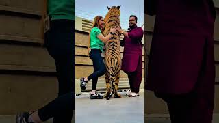 sher se panga not.......... 😨😱😎 #ytshorts #funnyclips #animals  #funny