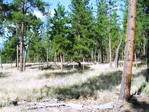 3 Snowy Lane, Plains, MT home video tour
