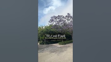 انك لا تهدي من احببت ولكن الله يهدي من يشاء #قران #قران_كريم #راحة_نفسية #تلاوة_خاشعة #لايك #اكسبلور