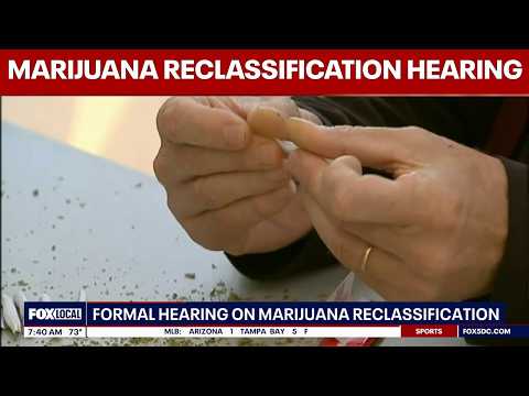 DEA hearing on marijuana reclassification begins