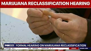 DEA hearing on marijuana reclassification begins