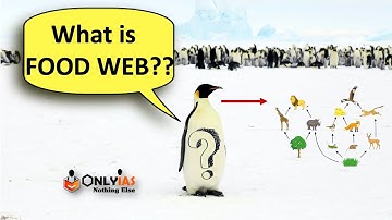 Food Web UPSC | Environment & Ecology | UPSC 2022 | From the Basics