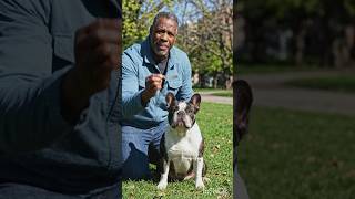 The French Bulldog: America’s Favorite Funny &amp; Loyal Companion