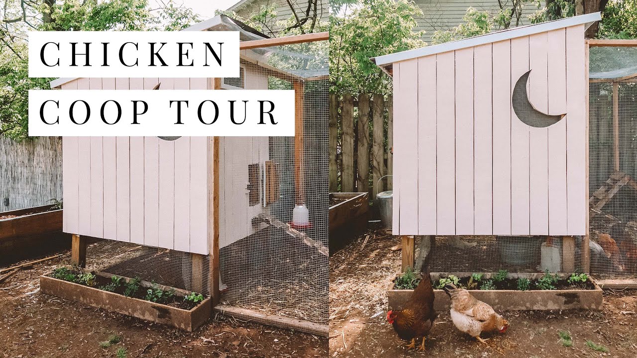 Chicken Coop Design Tour 7 MAJOR Necessities YouTube