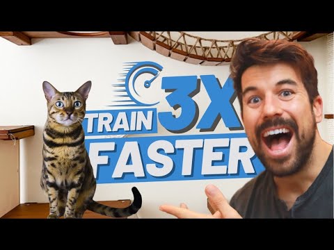 فيديو: 5 أخطاء تدريب Cat: مذنب في أي؟