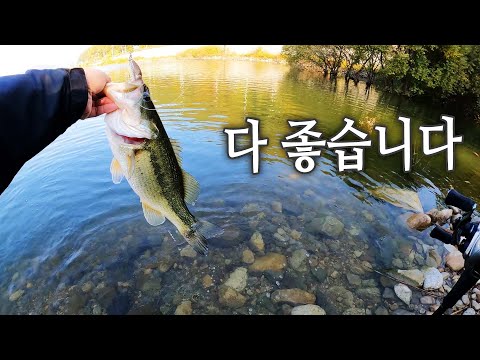 턴오버라던데... 그래서 댐권 상황을 둘러봤습니다