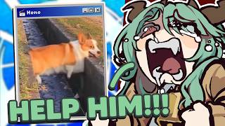 Crelly Reacts to YOUR Memes #4