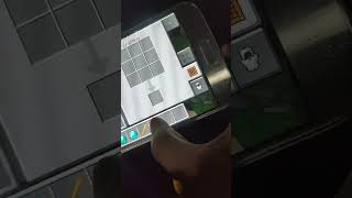 Minecraft (Soul Catcher)