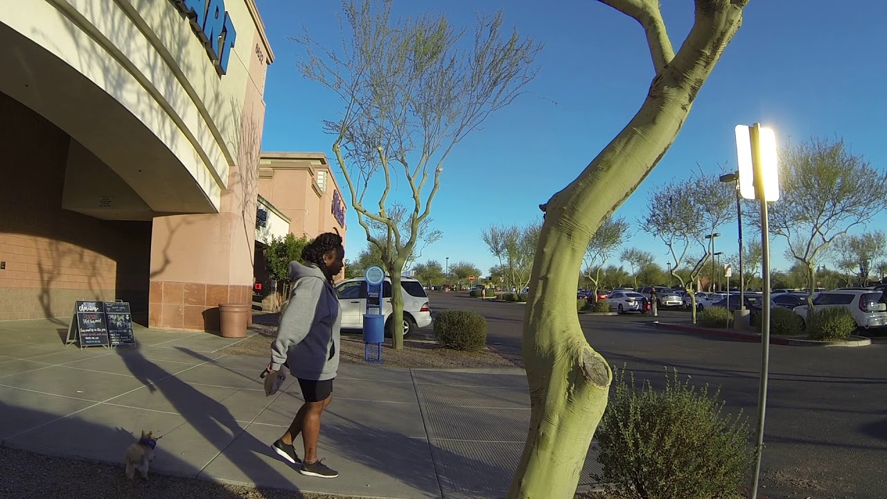 Petsmart Parade, 6632 E McKellips Rd, Mesa, Arizona, 22 December 2018