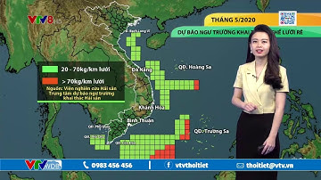 Bản tin thời tiết biển ngày 4/5/2020 | Ngư trường khai thác nghề lưới rê tháng 5/2020