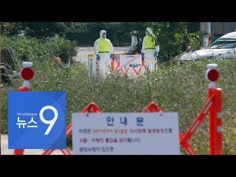 잇단 확진에 의심신고도…&amp;#39;돼지열병 방역망&amp;#39; 뚫렸나