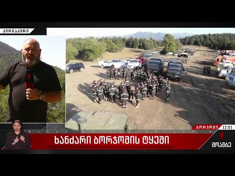 ხანძარი ბორჯომის ტყეში