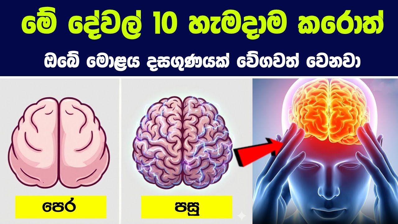 මේ දේවල් 10 හැමදාම කරොත් ඔබේ මොළය දසගුණයක් වේගවත් වෙනවා |  Brain Power According To Neuroscience