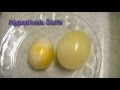 Cell Reactions to Hypotonic and Hypertonic Solutions Explained
